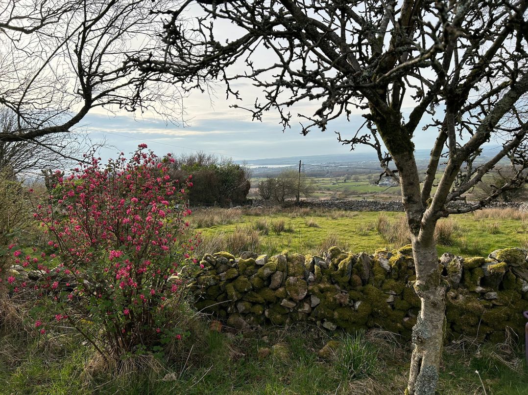 Tan Y Merddyn