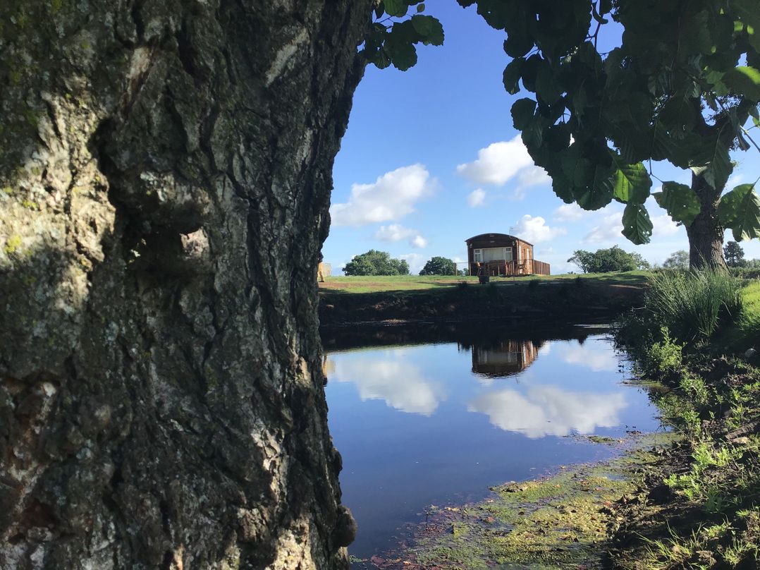 Holiday cottage, Raglan (Hollie)