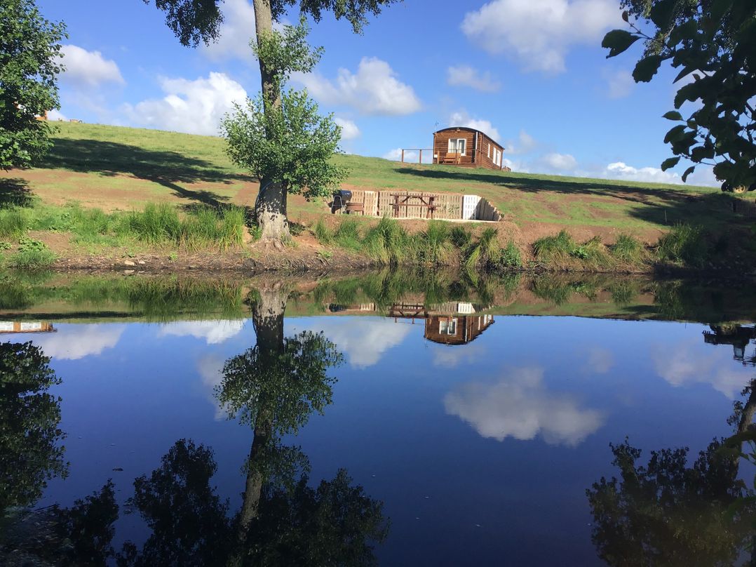 Holiday cottage, Raglan (Poppy)