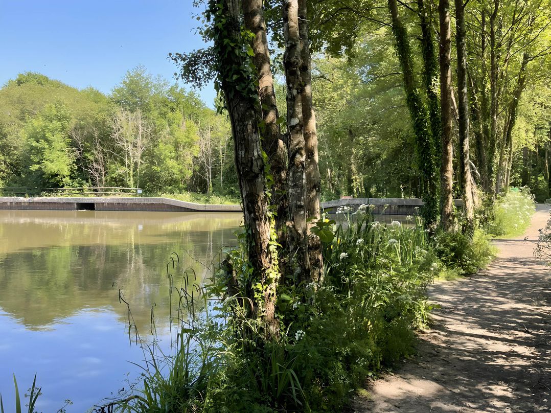 The Poplars - 11 Pool View