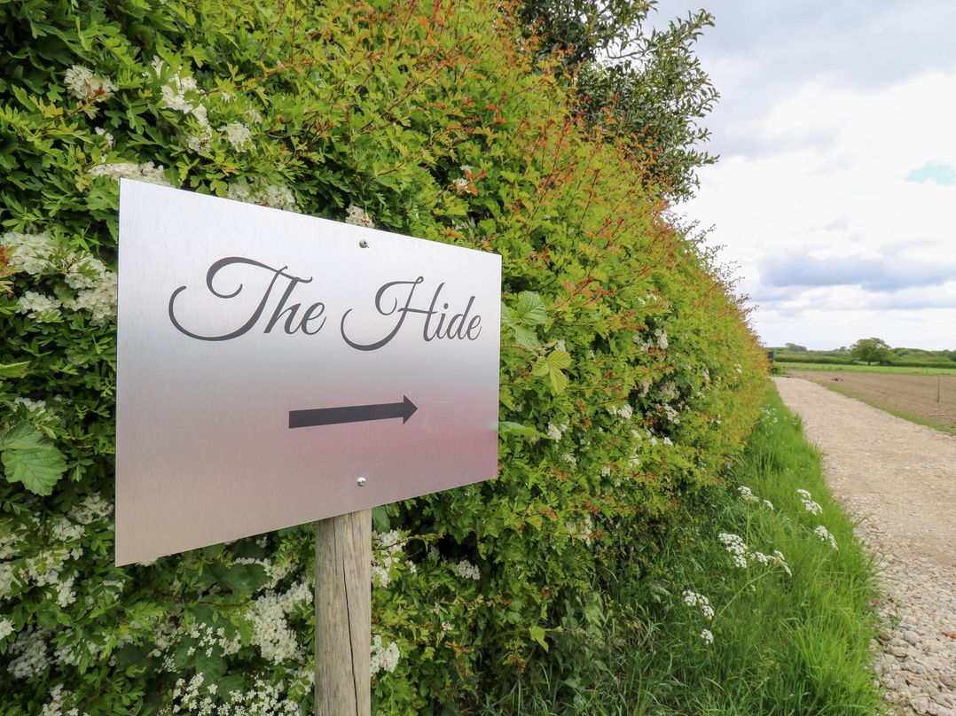 The Hide