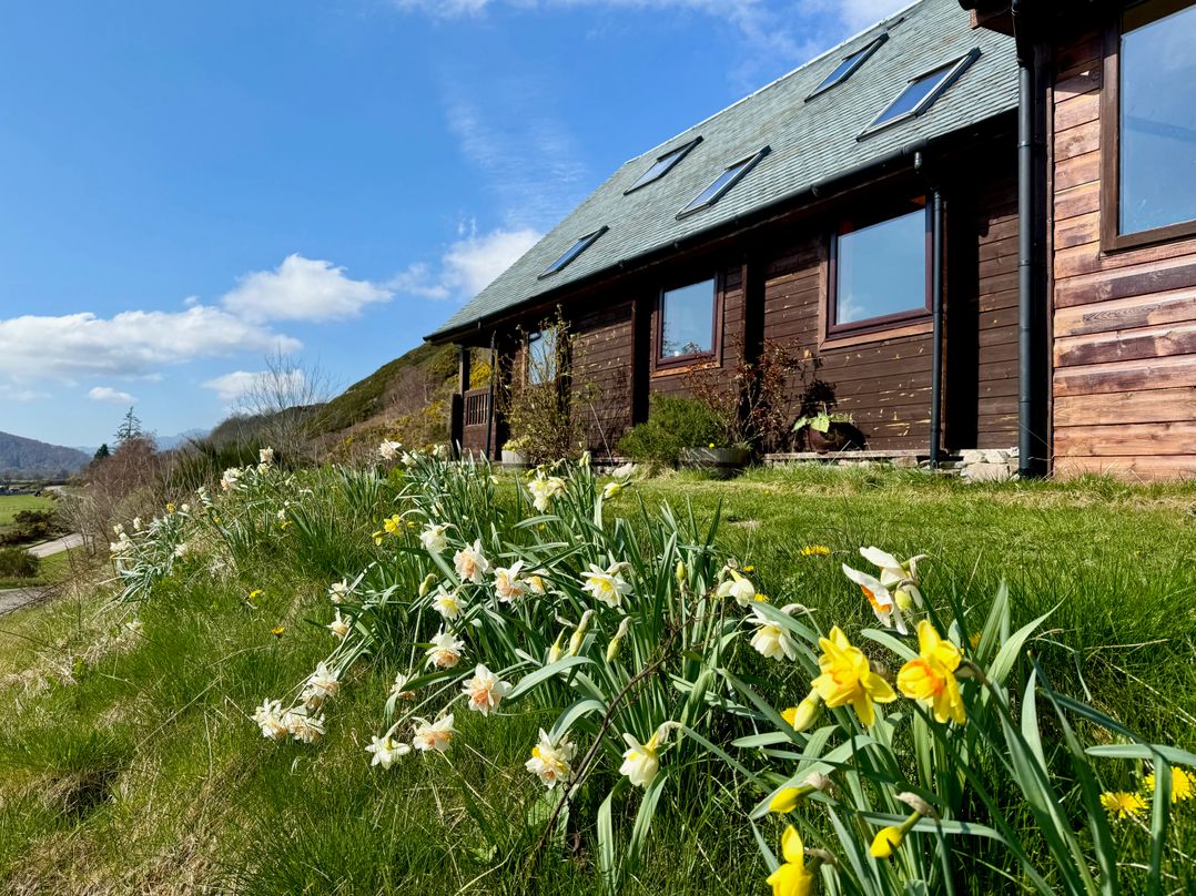 The Lodge
