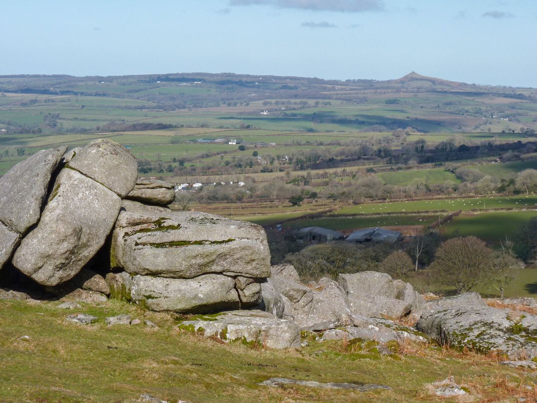 37 Tamar