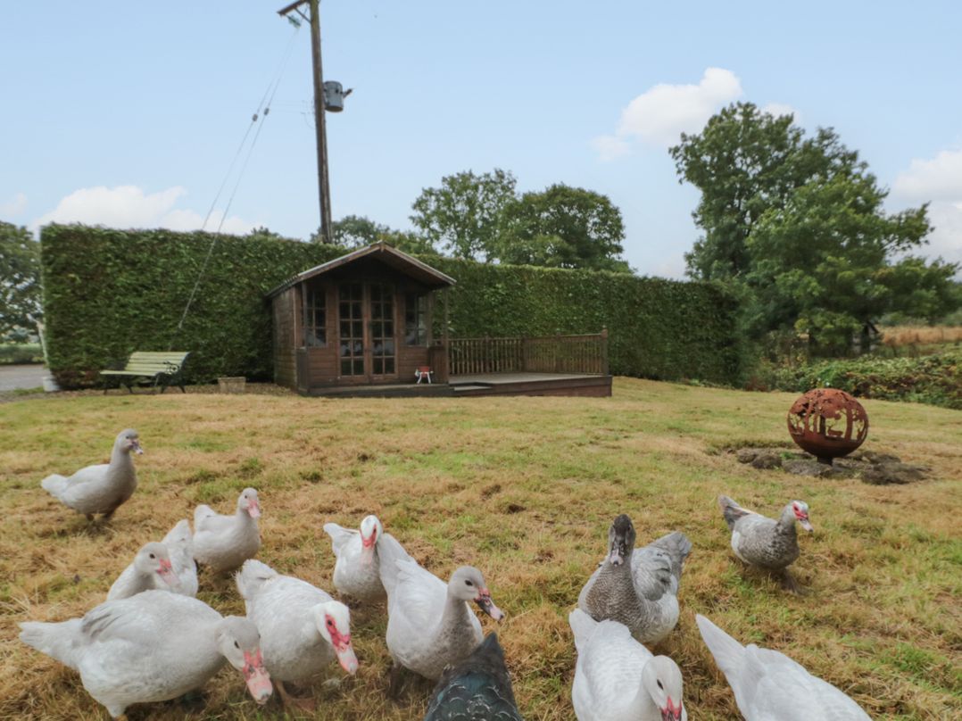 Bellmanear Farm Cottage