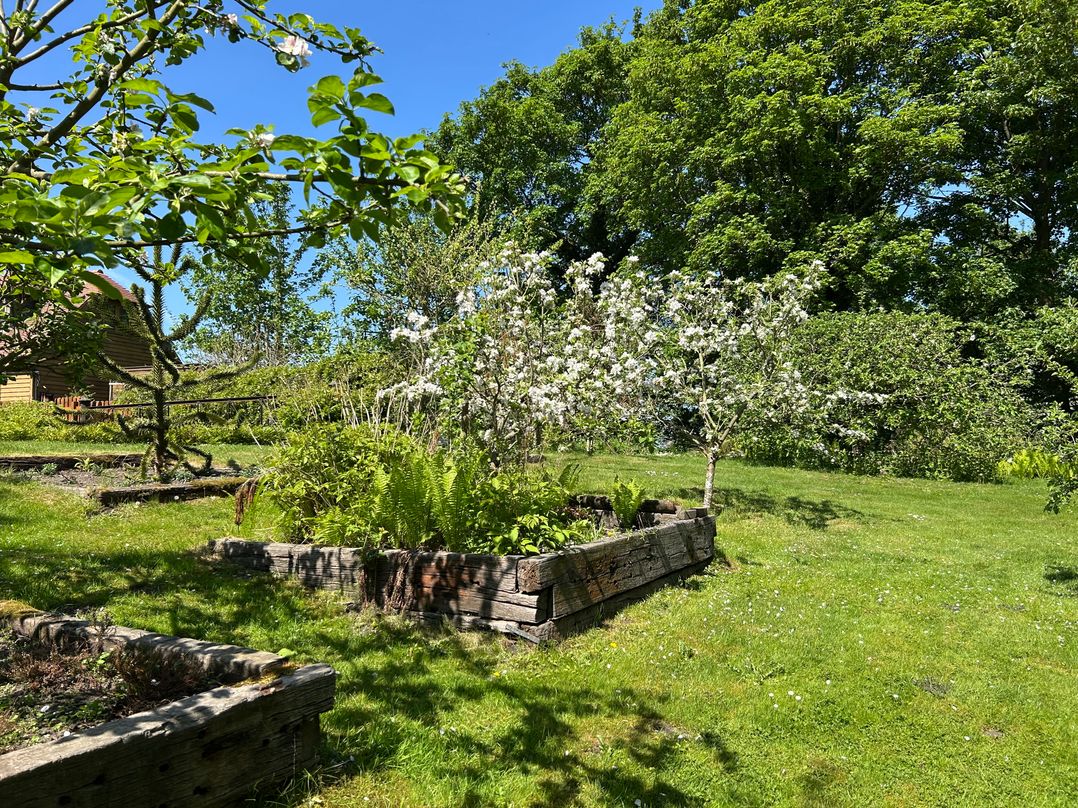 Old Mill House