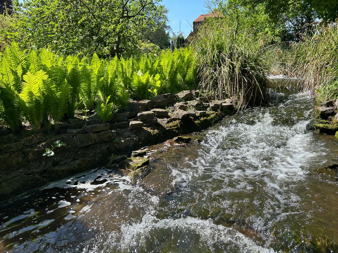 Old Mill House