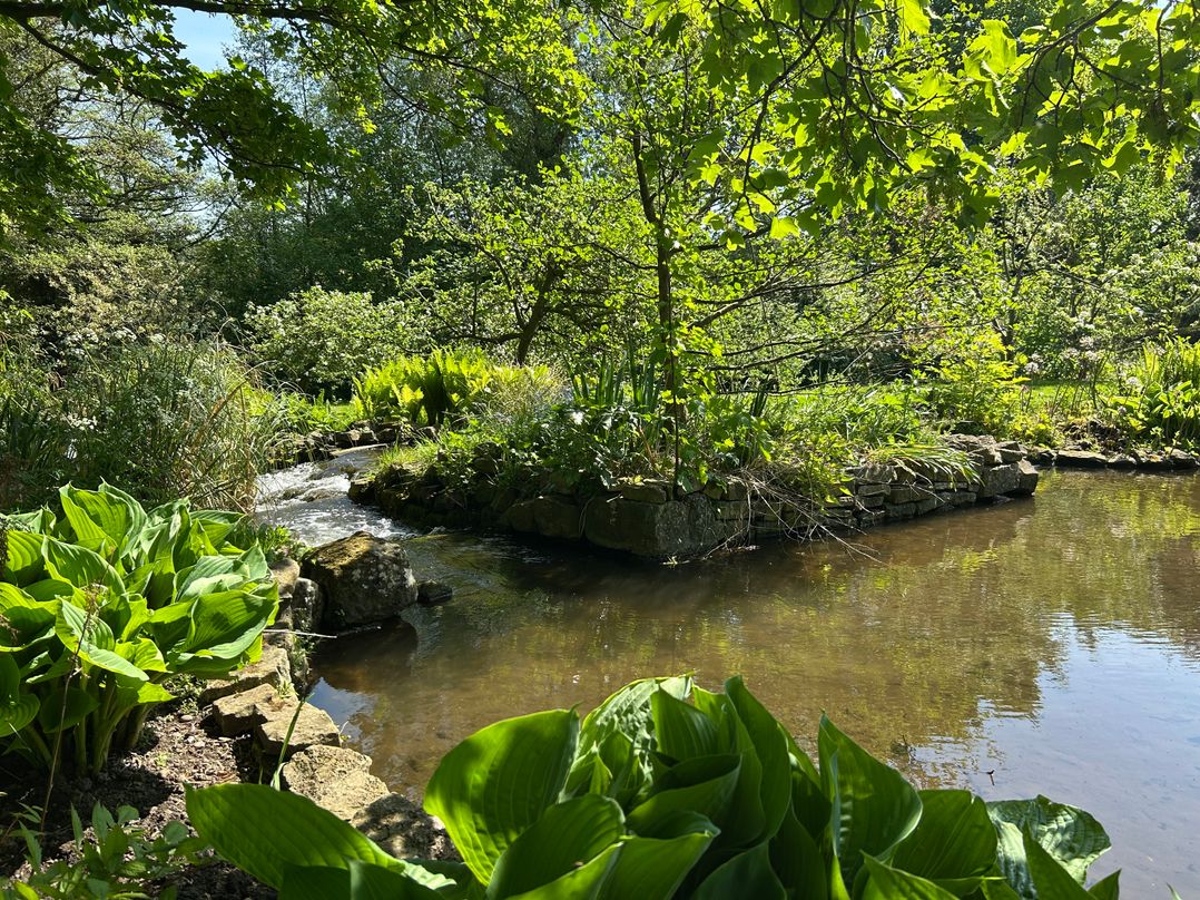 Old Mill House