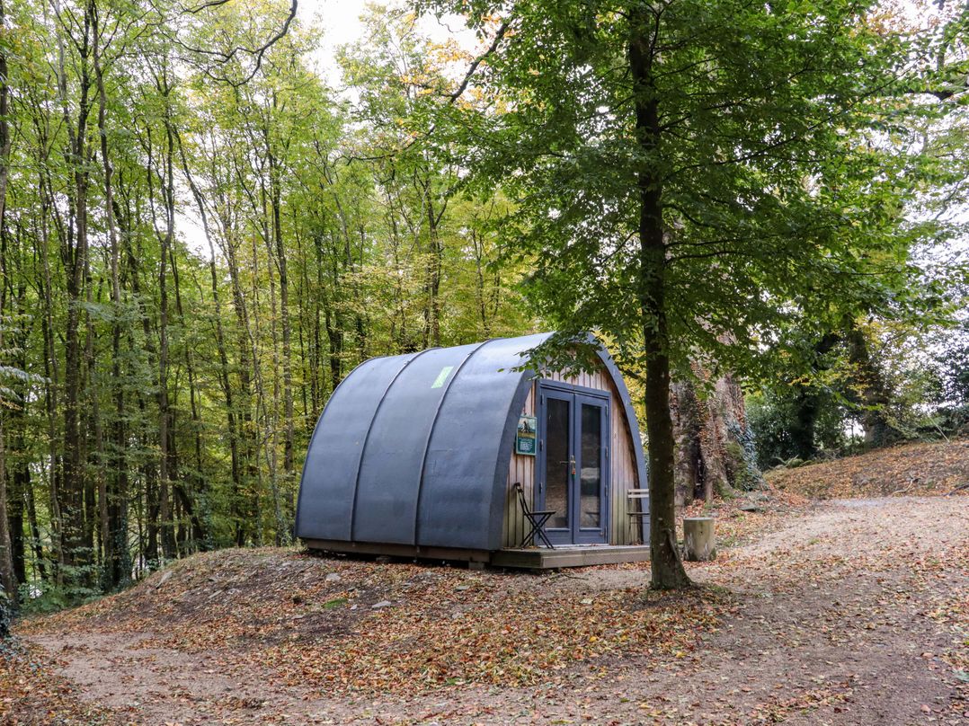 Ballybeg Pod 8