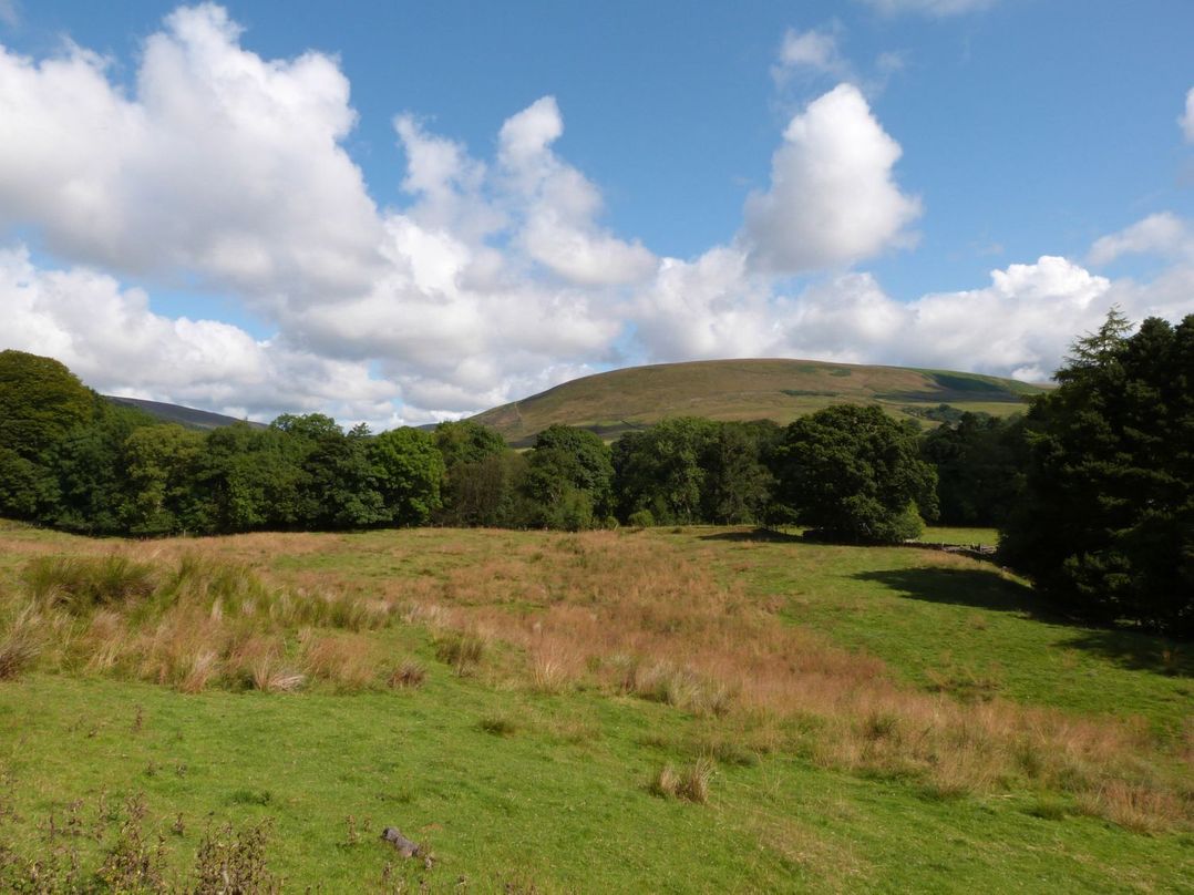 Moorlands Manor