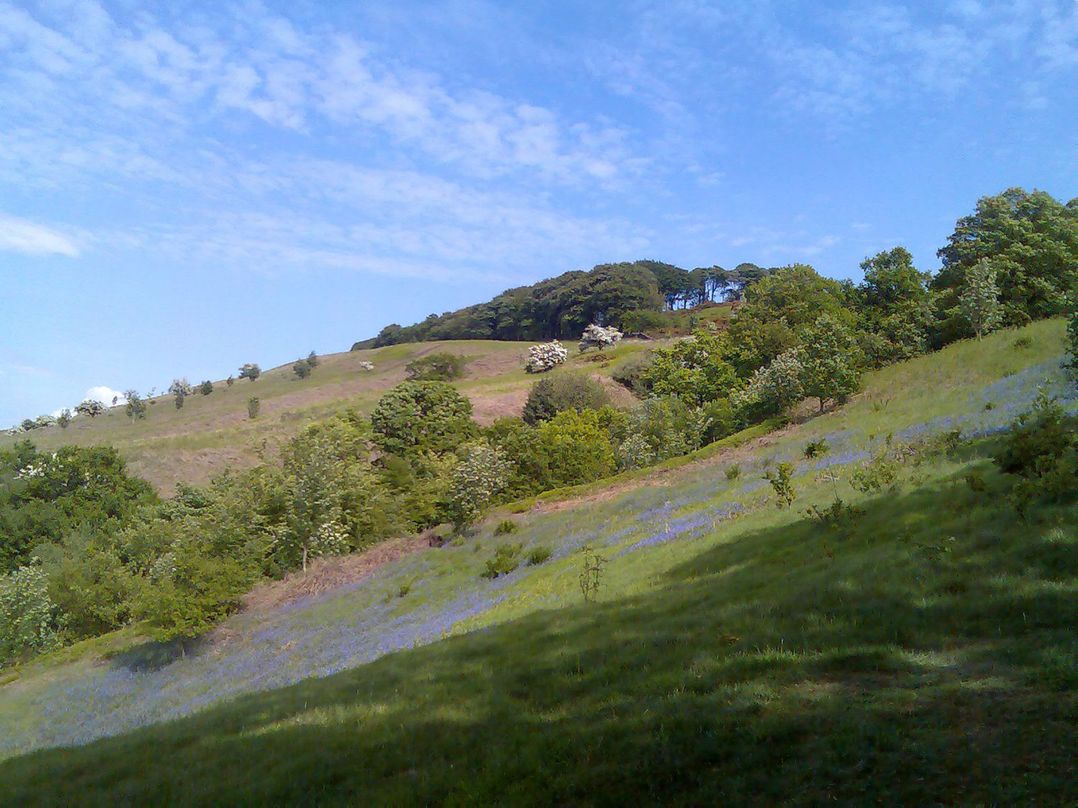 Moorlands Manor