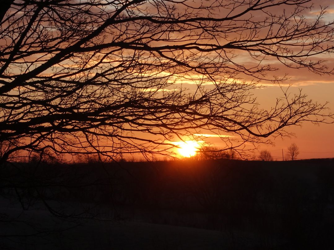Bryn Y Garreg Cottage - The Wireless Free Farm (No Tech!)