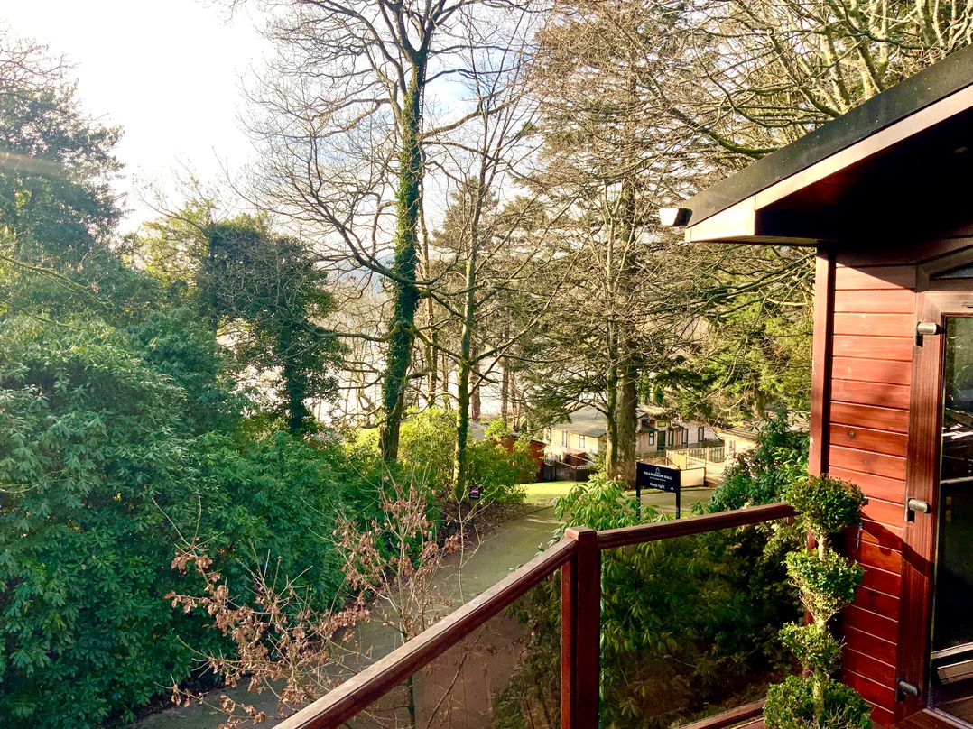 Tree House, Partial Lake Views Pet Friendly