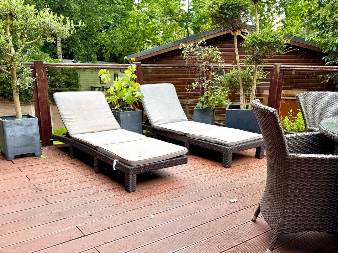 Tree House, Partial Lake Views Pet Friendly
