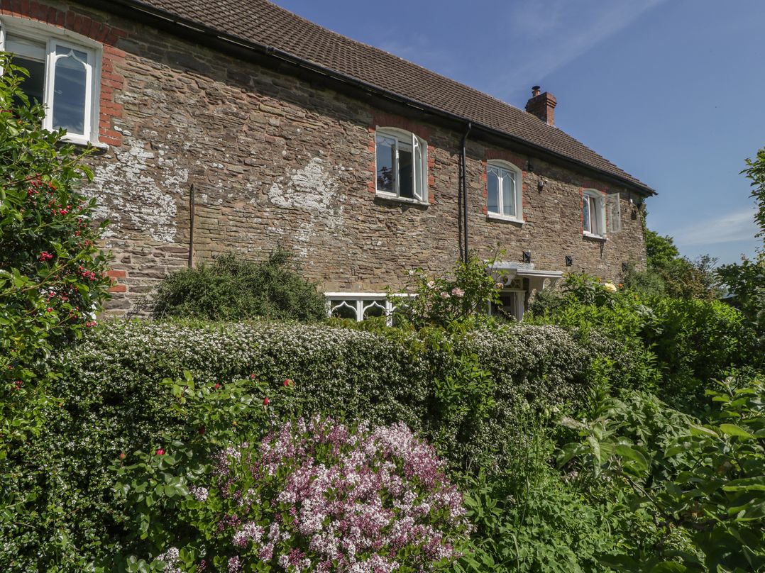 Cefn Campstone