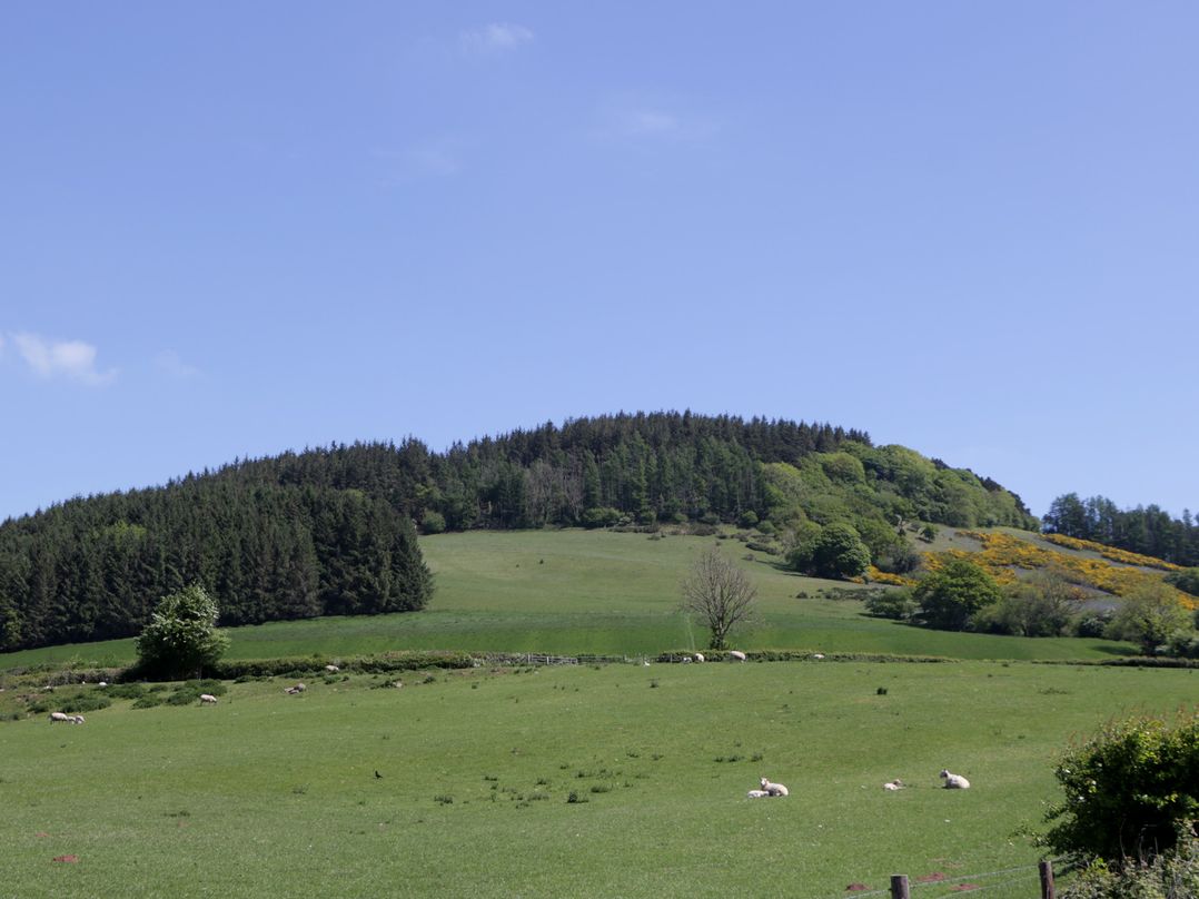 Cefn Campstone