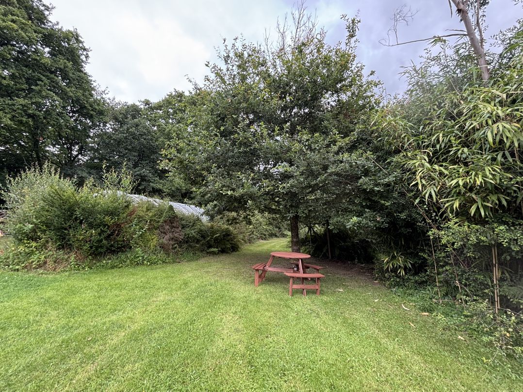 Delfryn, Llandeilo