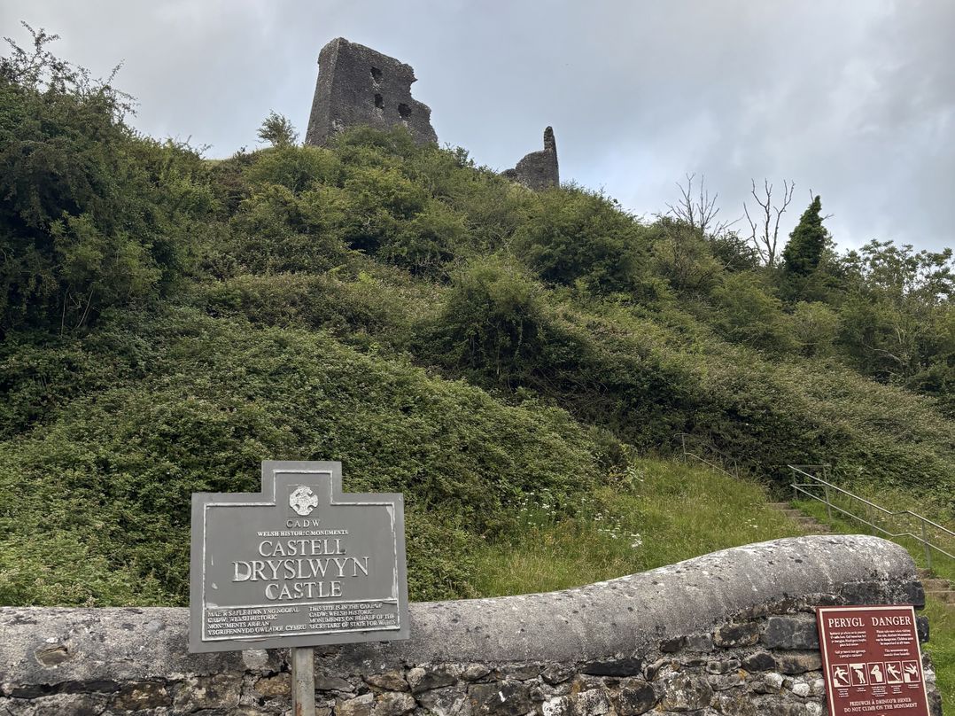 Delfryn, Llandeilo