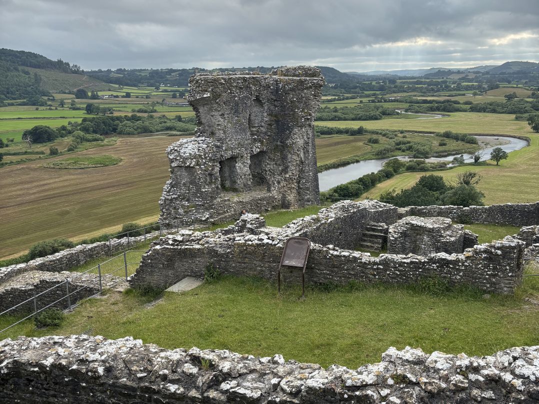 Delfryn, Llandeilo