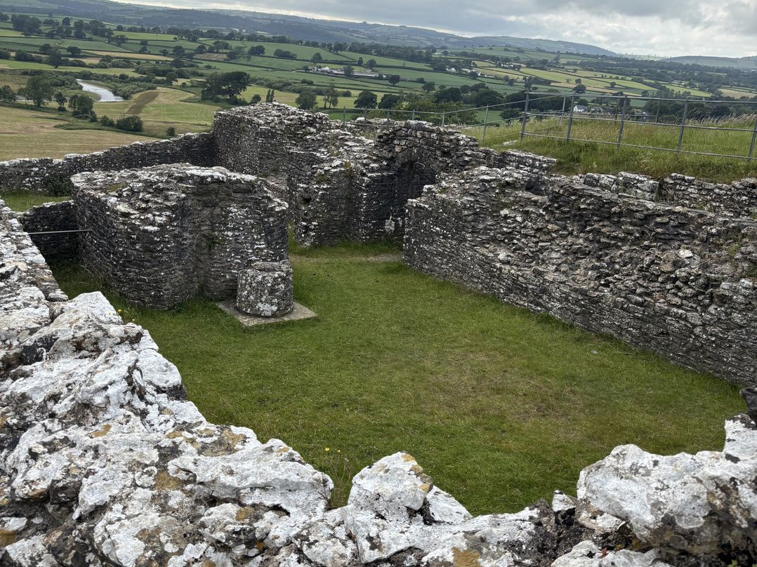 Delfryn, Llandeilo