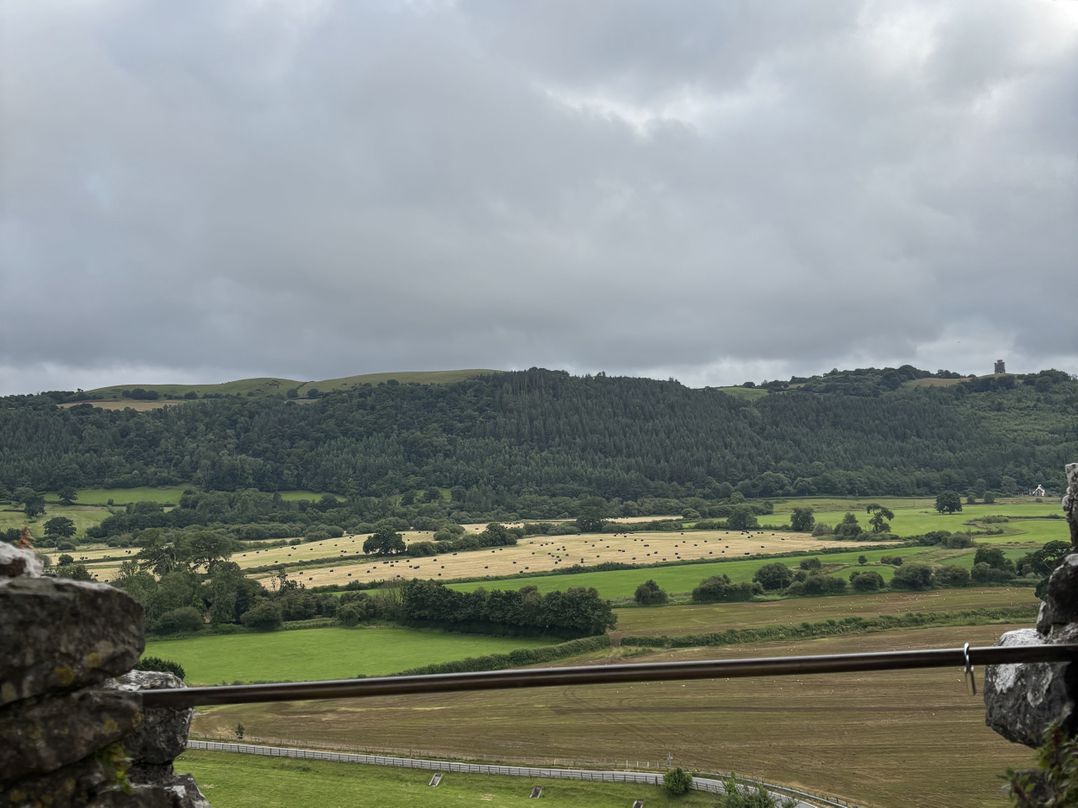 Delfryn, Llandeilo