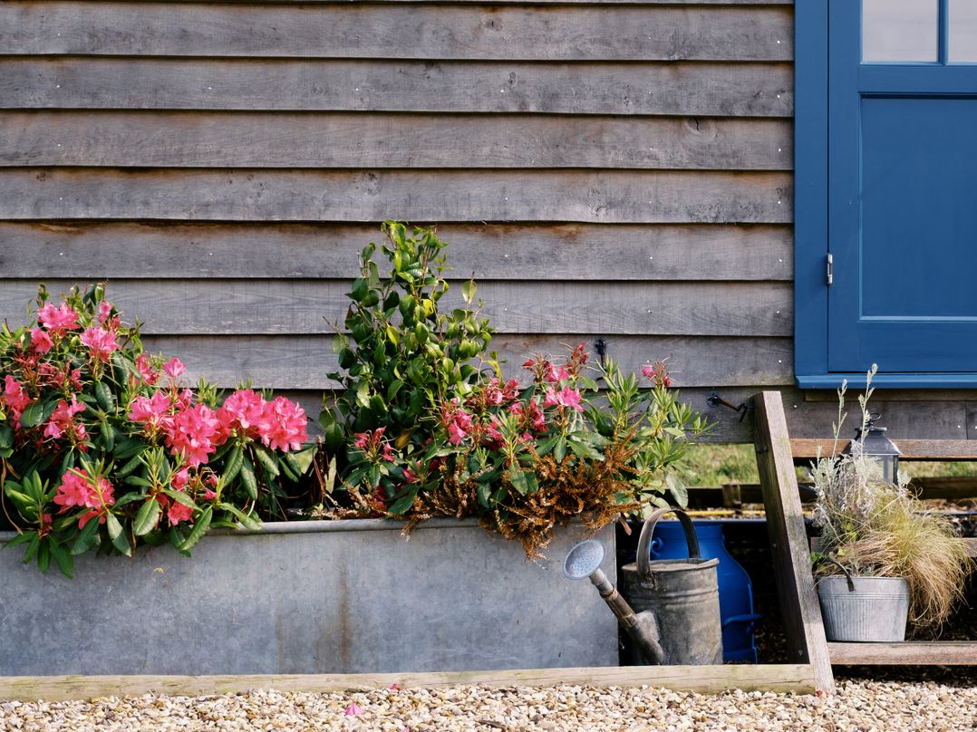 Lillie's Shepherds Hut at Shepherds Lodge Retreat and Wellness