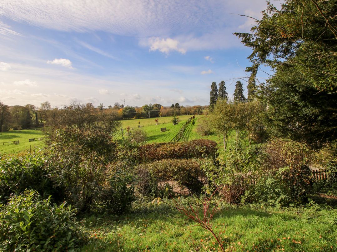 Caynham Court
