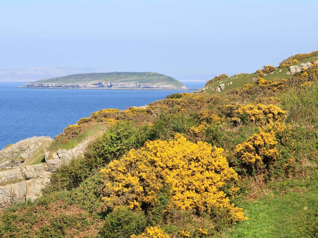 Goleufryn