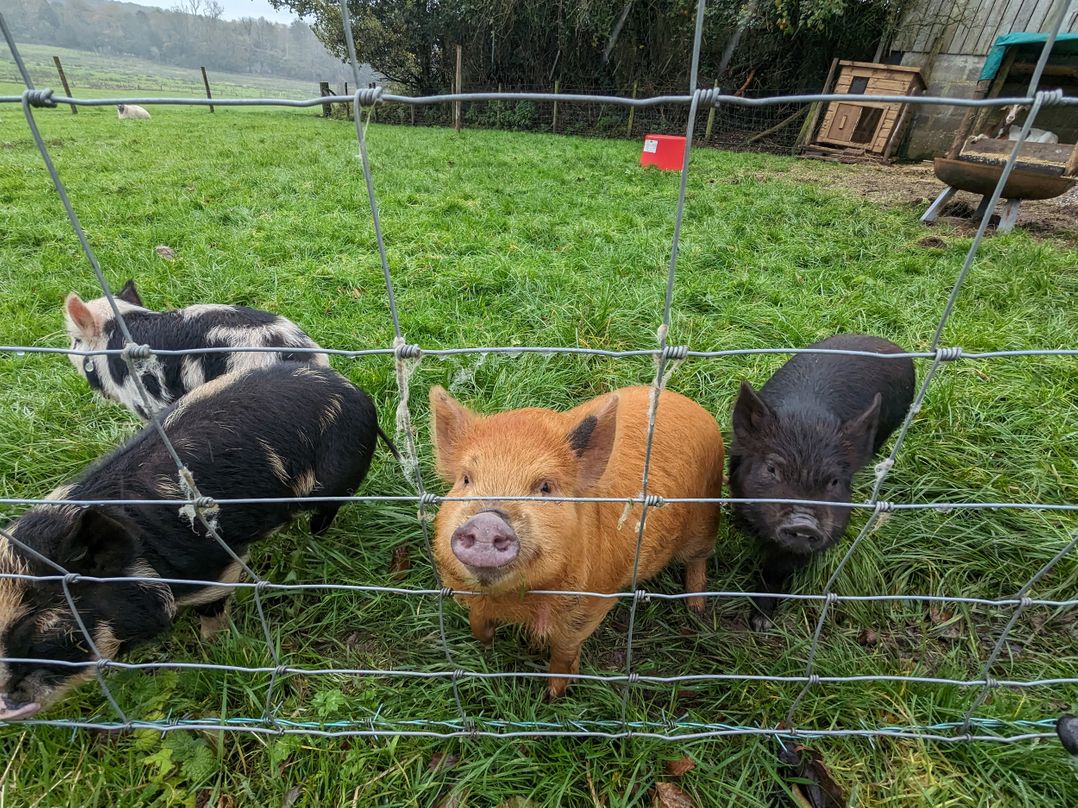 The Old Farmhouse at Brackenthwaite Farm