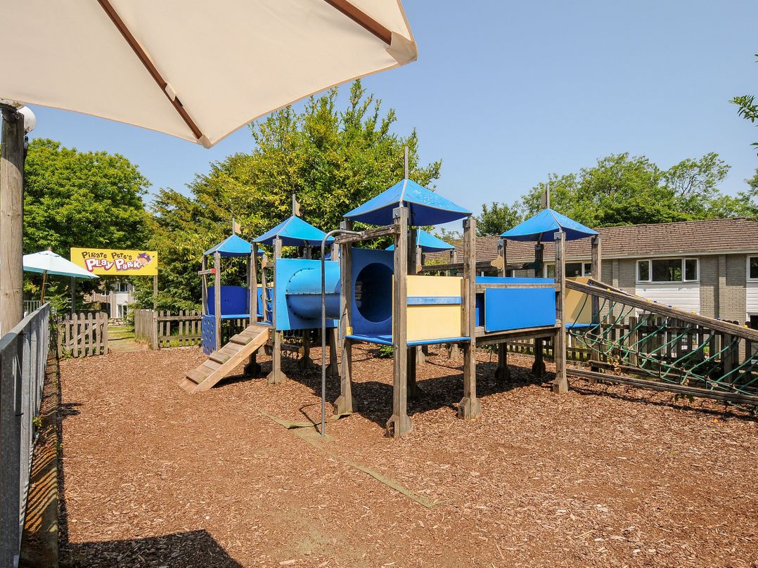 Satinwood