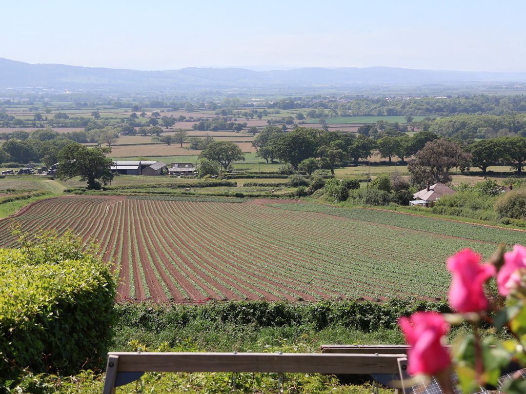 Buzzards View