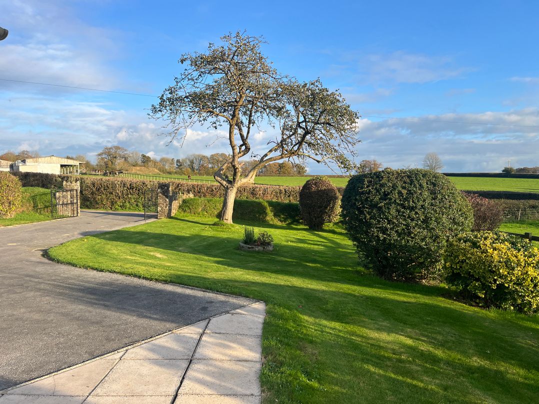 War Horse Valley Orchard View
