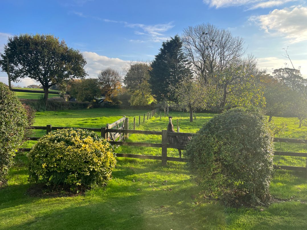 War Horse Valley Orchard View