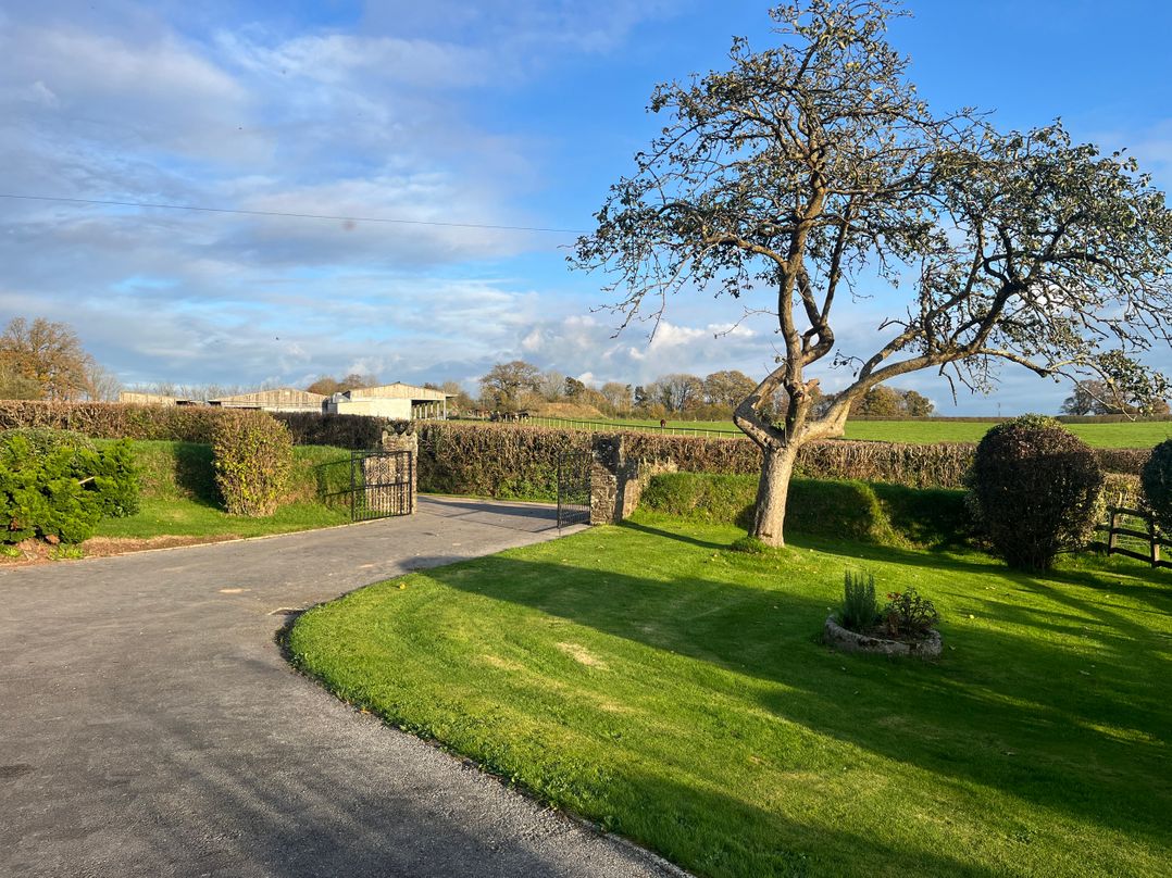 War Horse Valley Orchard View