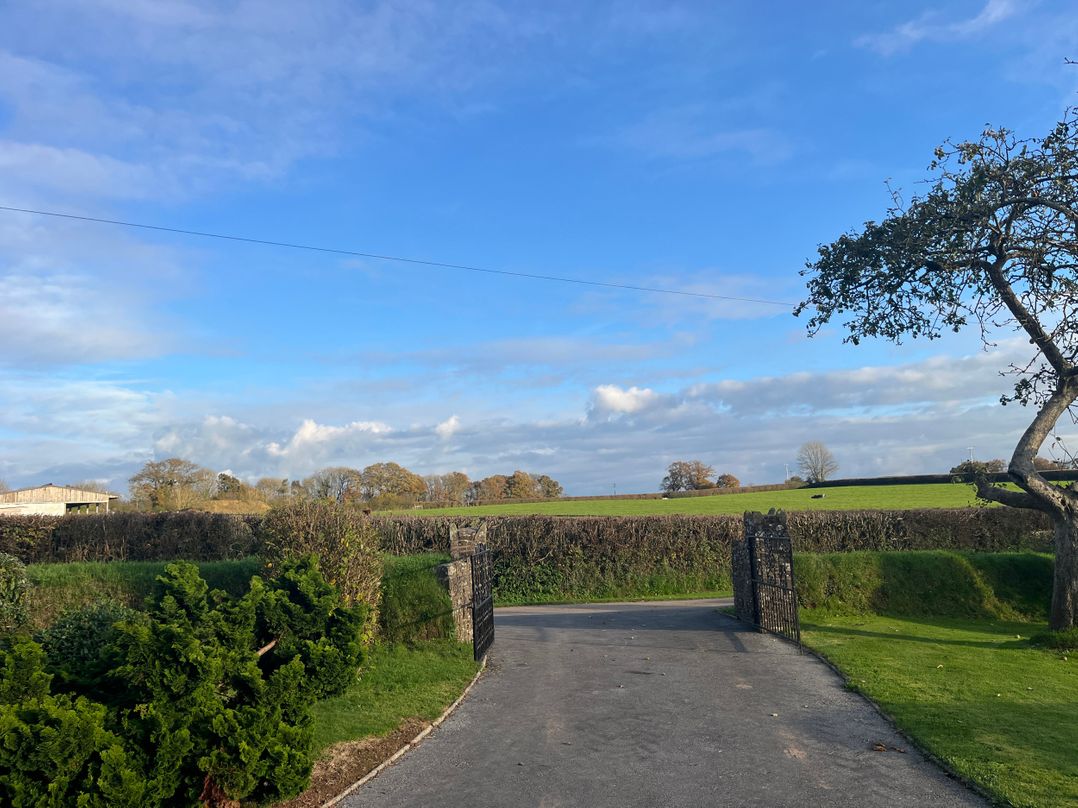 War Horse Valley Orchard View