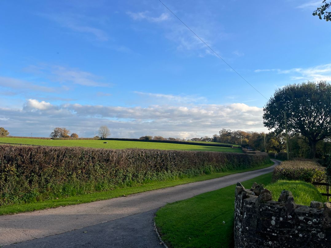 War Horse Valley Orchard View
