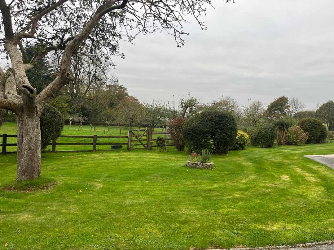War Horse Valley Orchard View