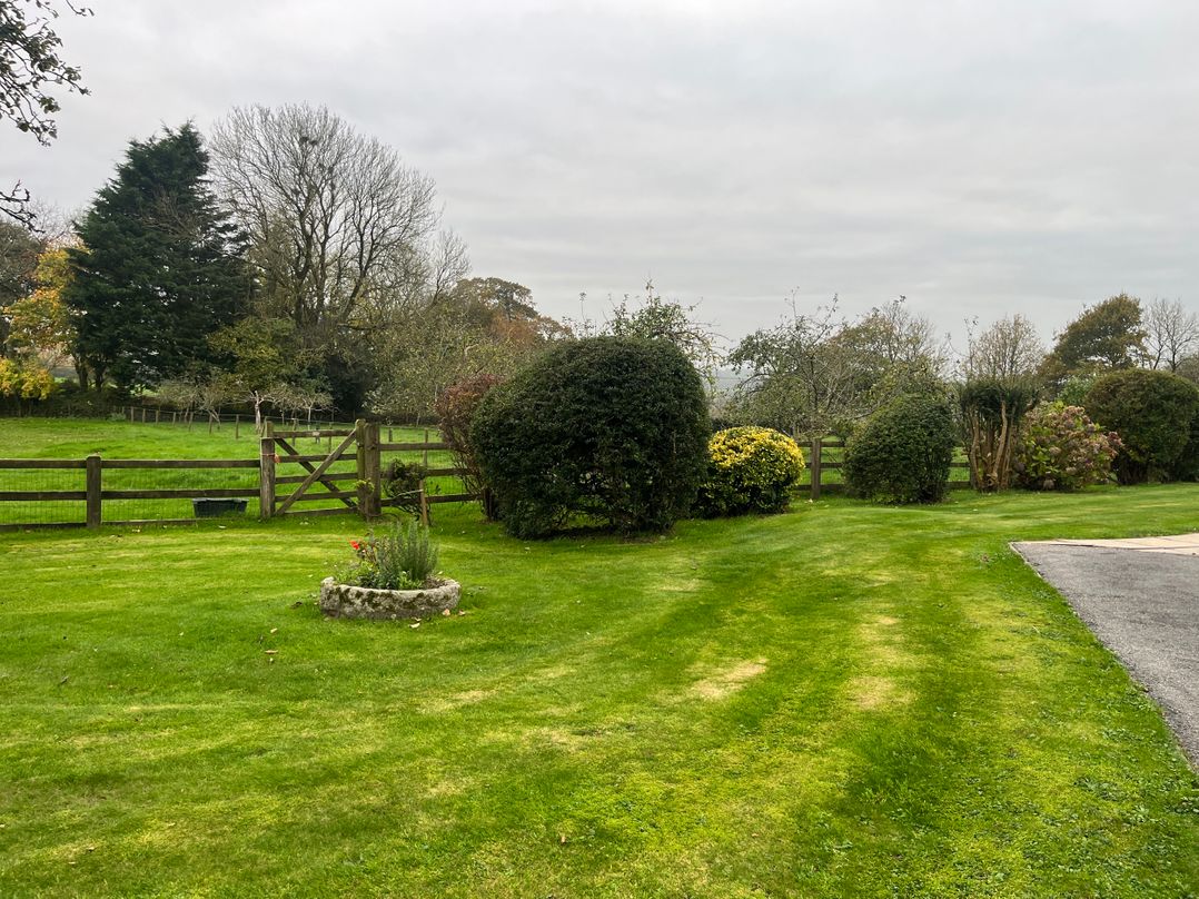 War Horse Valley Orchard View