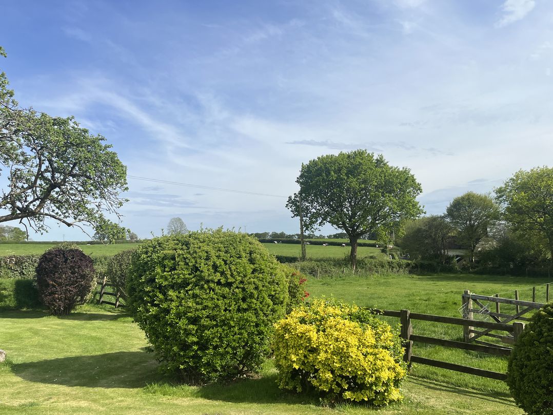 War Horse Valley Orchard View
