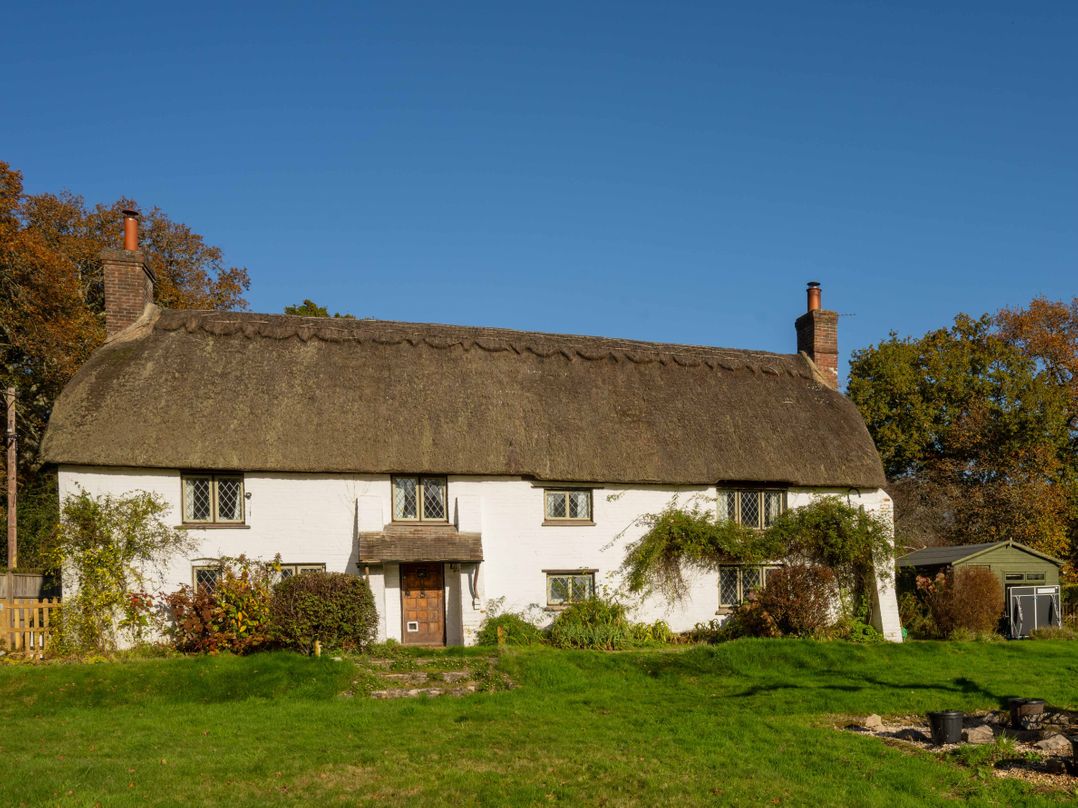Little Lions Farm