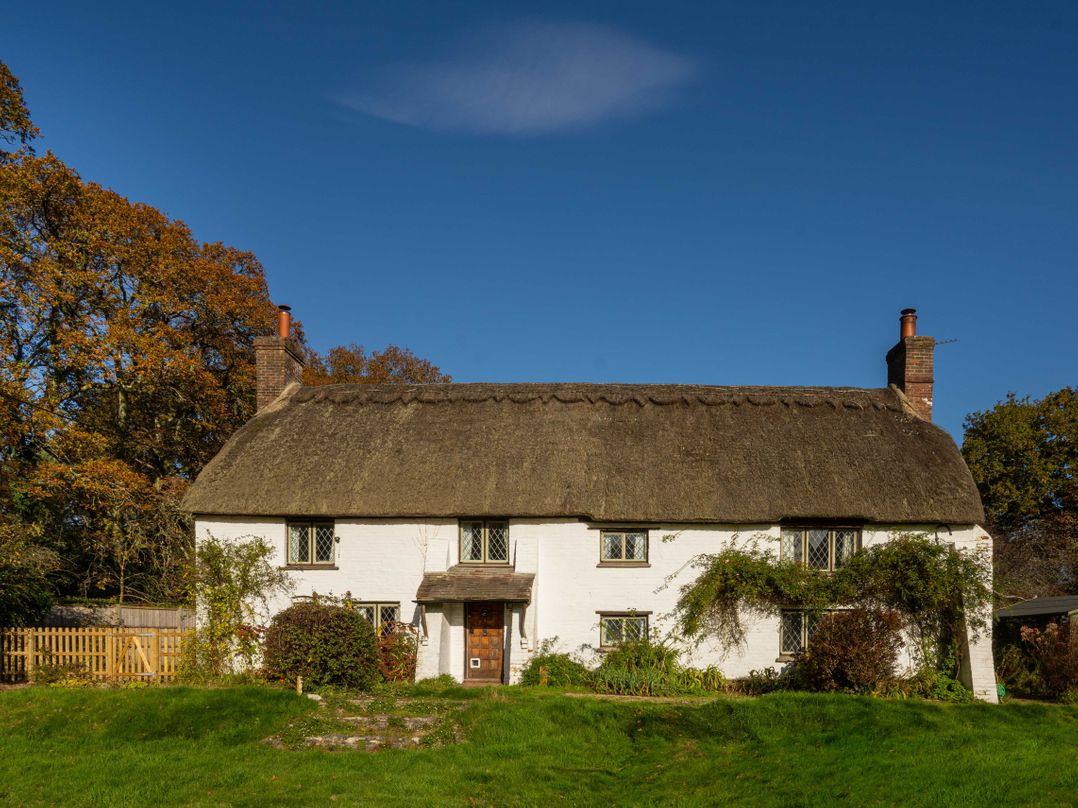 Little Lions Farm