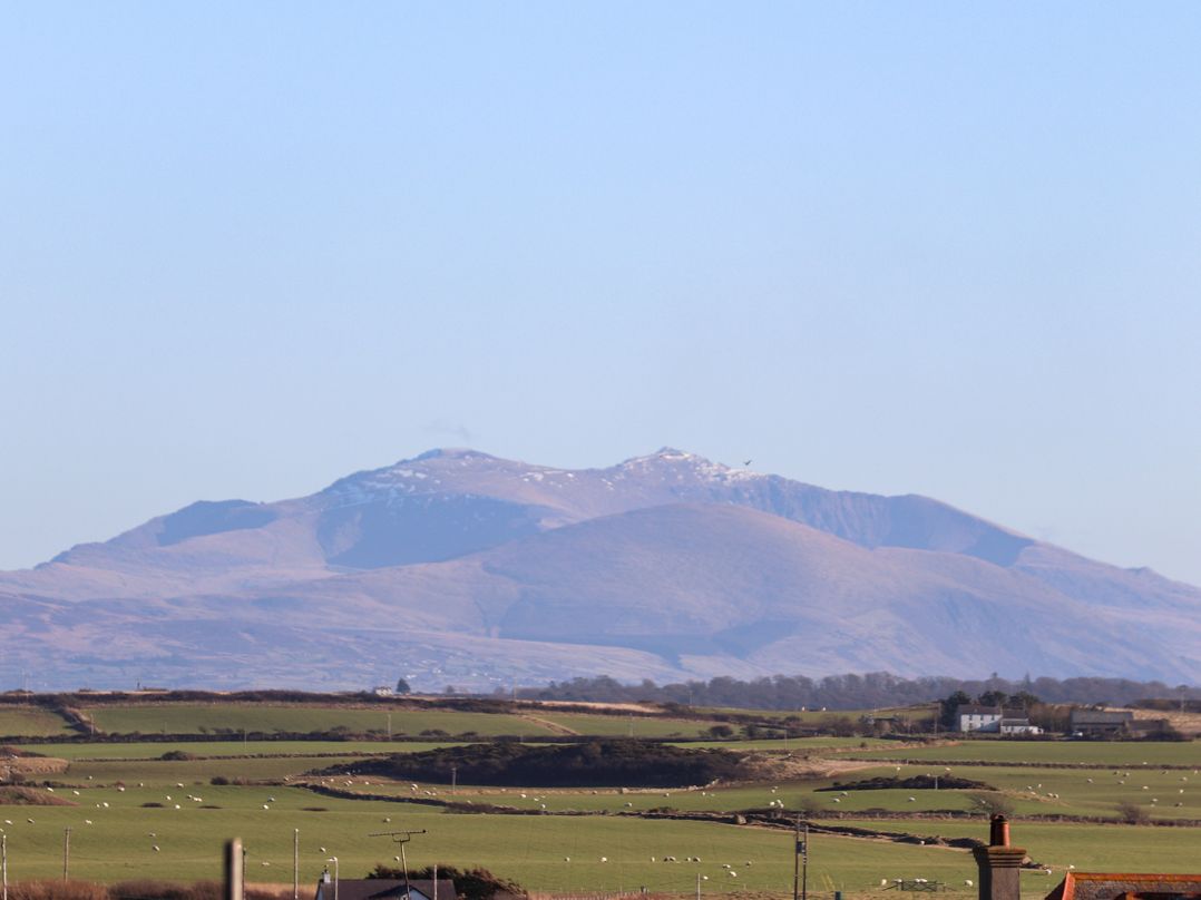 Plas Gwylan