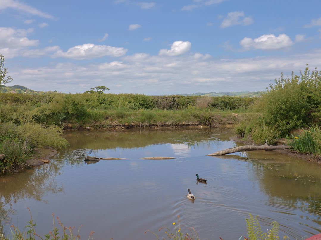 Pond View at Yeabridge Farm