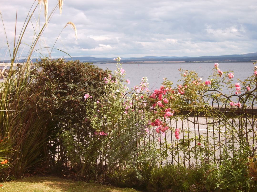Fuchsia Cottage