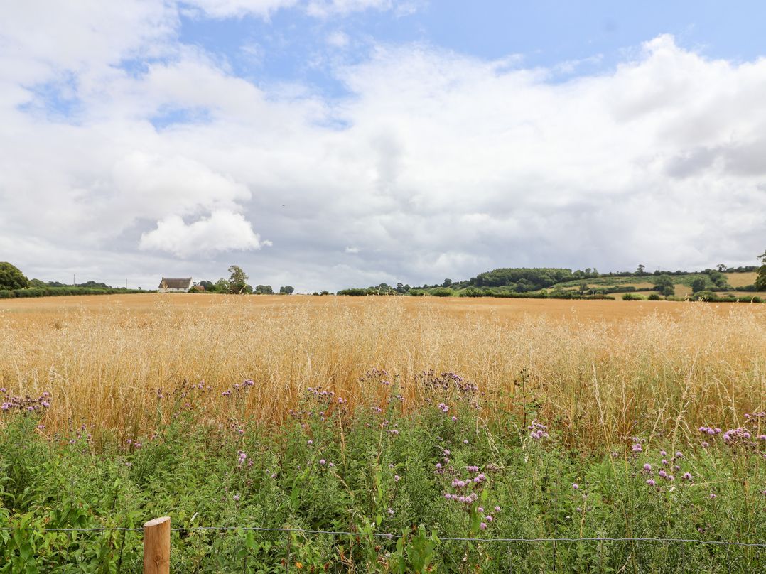 Thatchers End