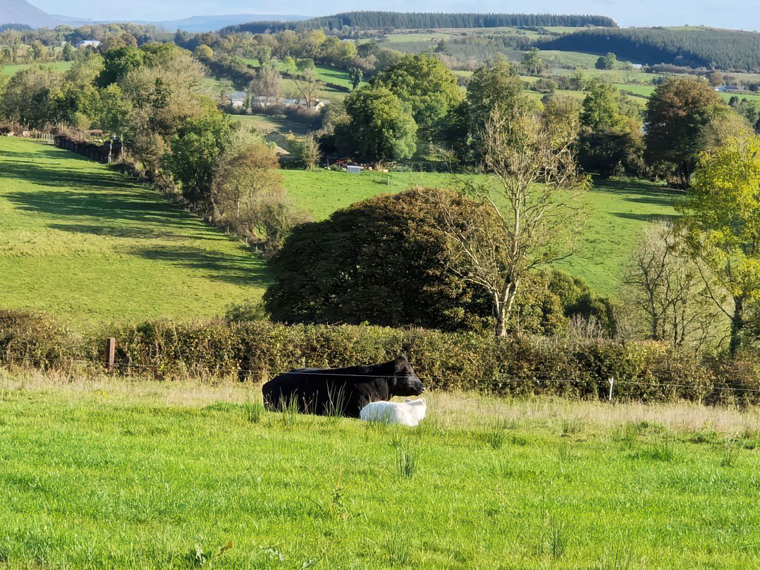 The Farmstead