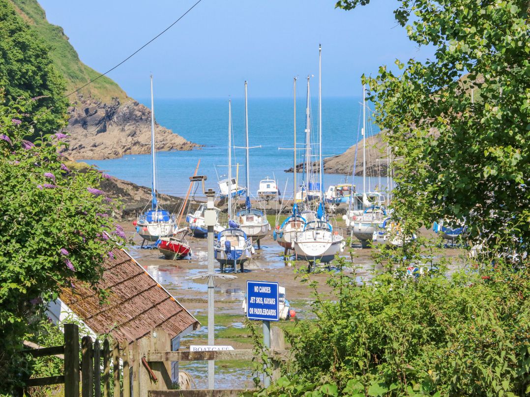 Cove View