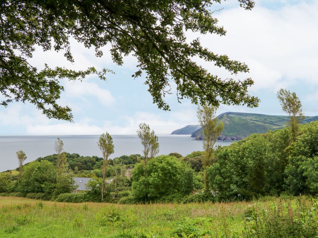 Cove View