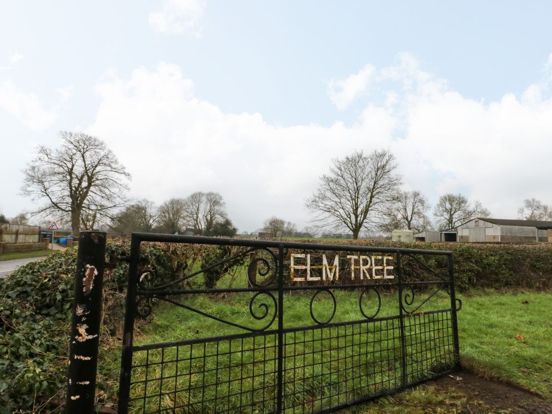 Elm Tree Cottage
