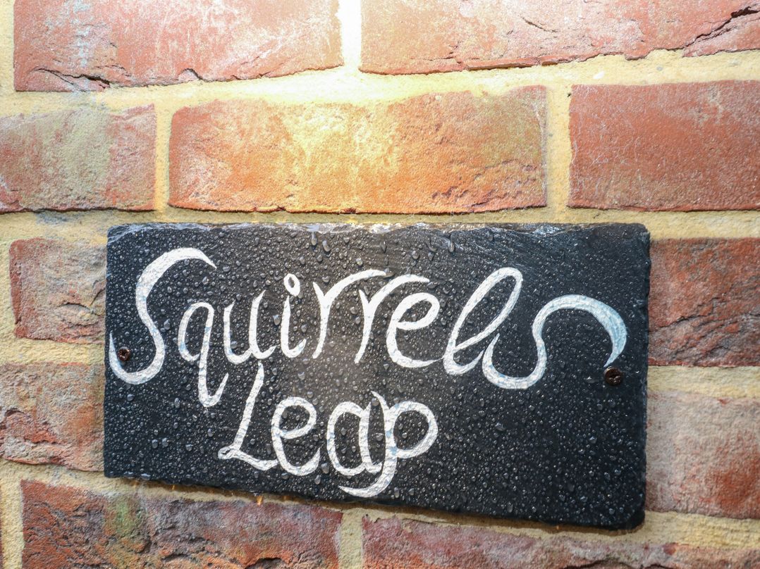Squirrel's Leap
