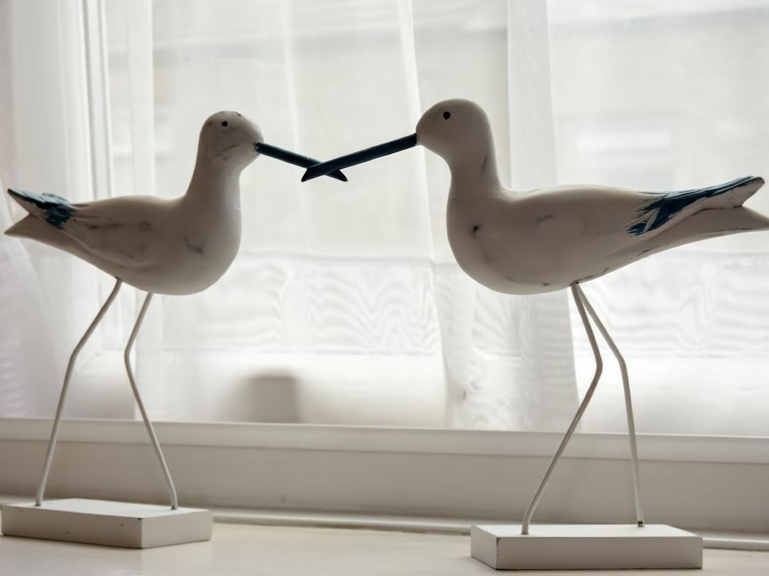 Seaview Cottage (Amble)